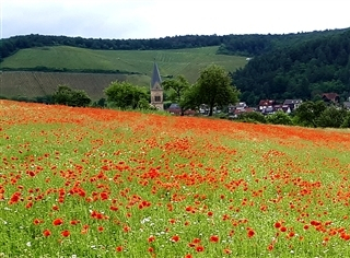 Kirche Obereschenbach