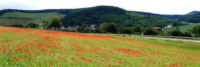 Ortsansicht Obereschenbach